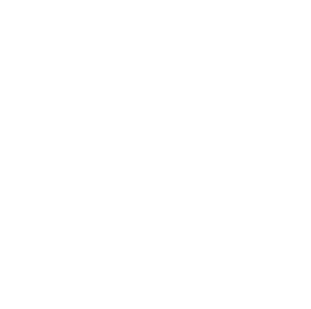 SEI White Logo